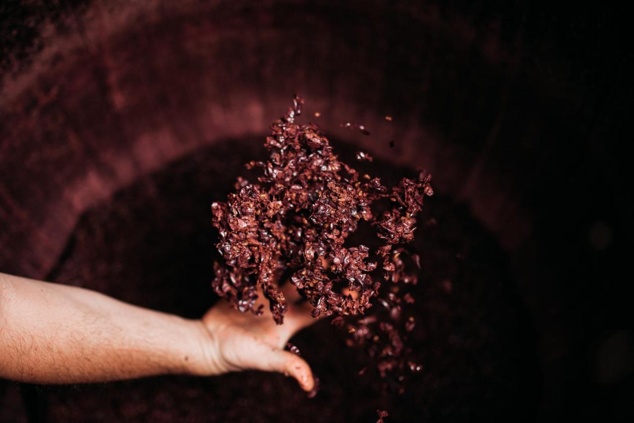 Weingut & Genusshotel Spitalerhof Superior キウーザ エクステリア 写真